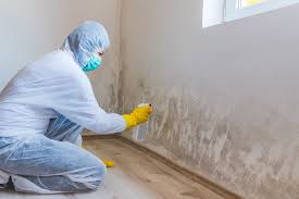 Reliable Camp Swift, TX Mold Remediation Solutions